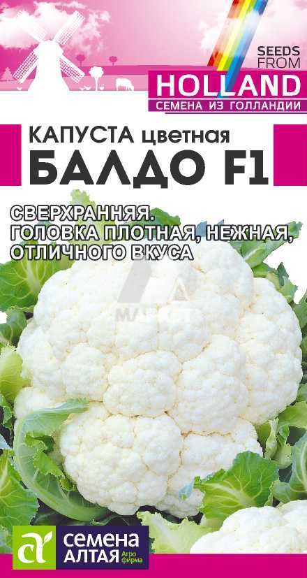 ������� ������� ����� F1/��� ���/�� 10 ��. Seminis (���������� ������) (2026/2537)