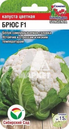 ������� ������� ���� F1 10�� (��� ���)