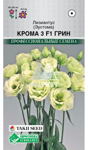 ��������� (�������) ����� 3 F1 ���� (3 �����) �� (����)