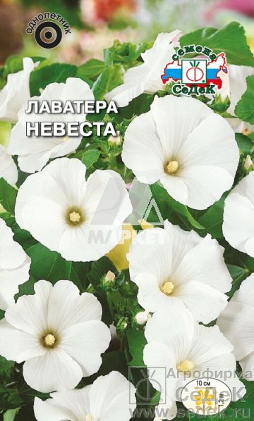�������� ������� (�����) (����, 0,3; 0493) (�����)