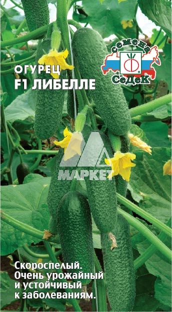 ������ ������� F1 �/� (����, 0,3; 6839)  (�����)