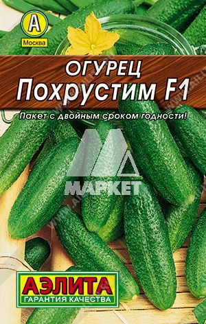 ������ ��������� F1 10�� �����   (������)