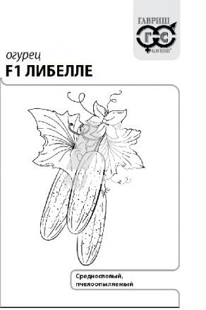 ������ ������� F1 0,5 � �/� � �������.  (�)